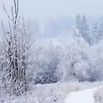 Σπίτι διακοπών Ardennes Au Coin Du Feu Jacuzzi Sauna Et Nature