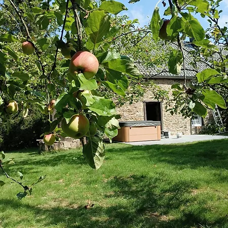 Ardennes Au Coin Du Feu Jacuzzi Sauna Et Nature Prázdninový dům Jalhay