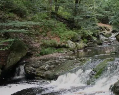 Ardennes Au Coin Du Feu Jacuzzi Sauna Et Nature Jalhay