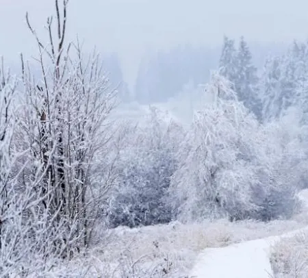 Prázdninový dům Ardennes Au Coin Du Feu Jacuzzi Sauna Et Nature